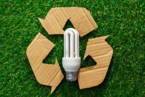 Maximizing Energy Efficiency