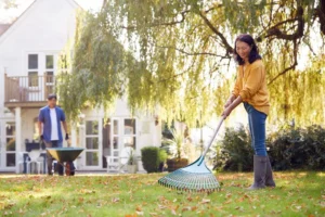outside fall cleaning